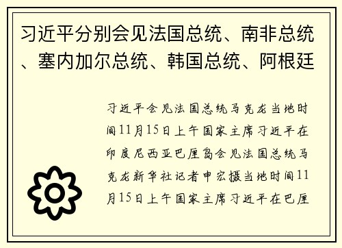 习近平分别会见法国总统、南非总统、塞内加尔总统、韩国总统、阿根廷总统